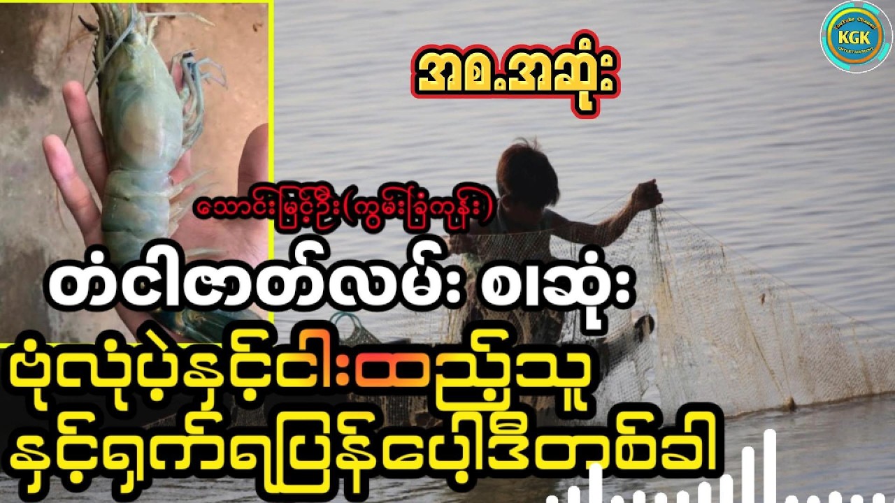 သောင်းမြင့်ဦး (ကွမ်းခြံကုန်) ဗုံလုံပဲ့နှင့်ငါးထည့်သူ မုဆိုးတံငါဝတ္ထုတို၂ပုဒ်(အစ.အဆုံး)