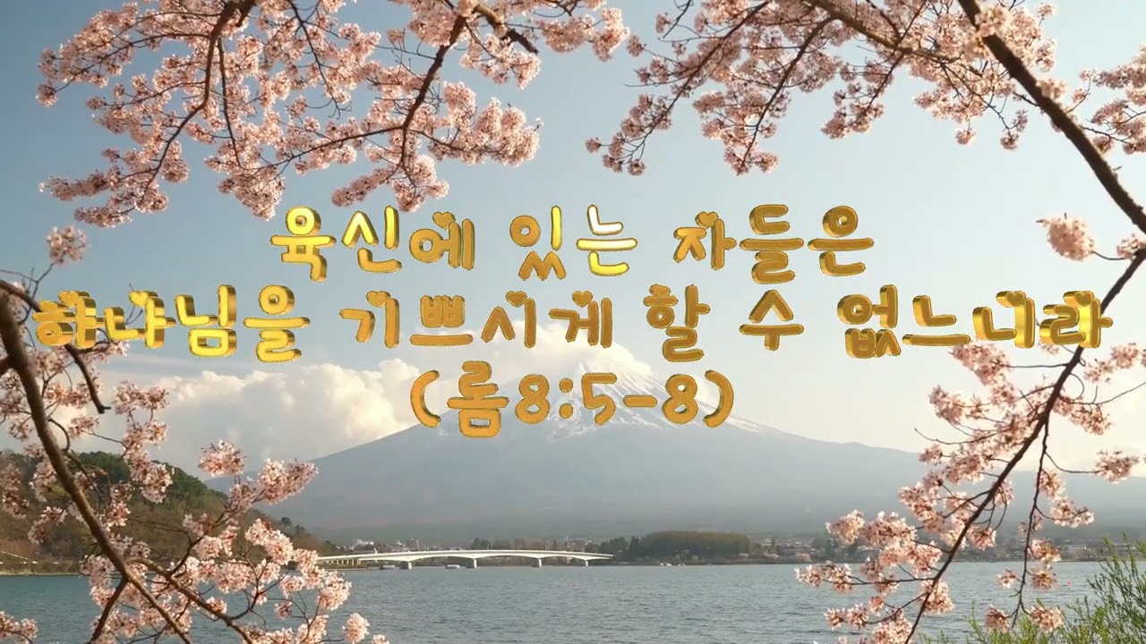 육신에 있는 자들은 하나님을 기쁘시게 할 수 없느니라