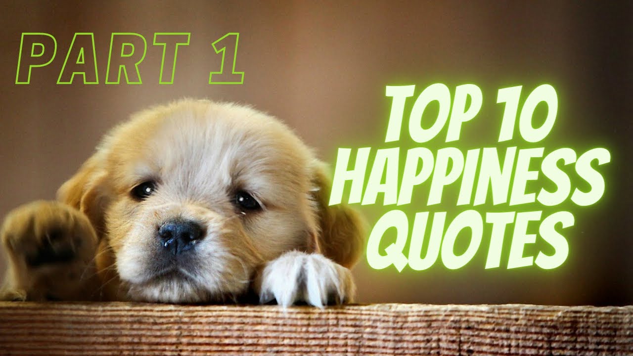 Top 10 Motivational Quotes | Happiness Quotes | Inspirational Quotes
