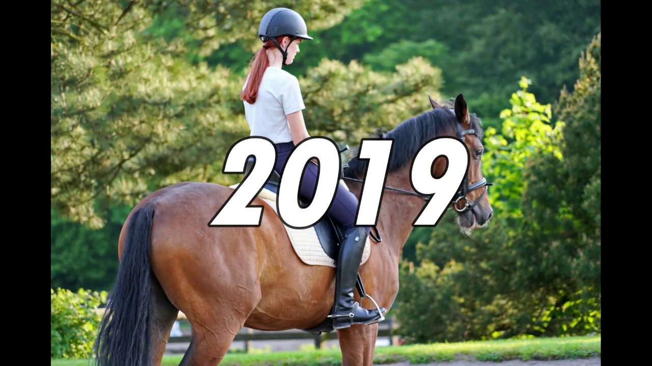 Året der gik 2019