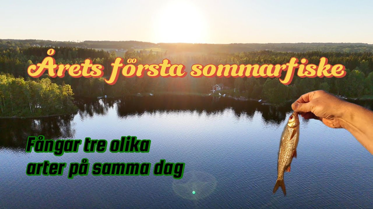 Sommarfiske 2025 - Årets första riktiga sommardag!