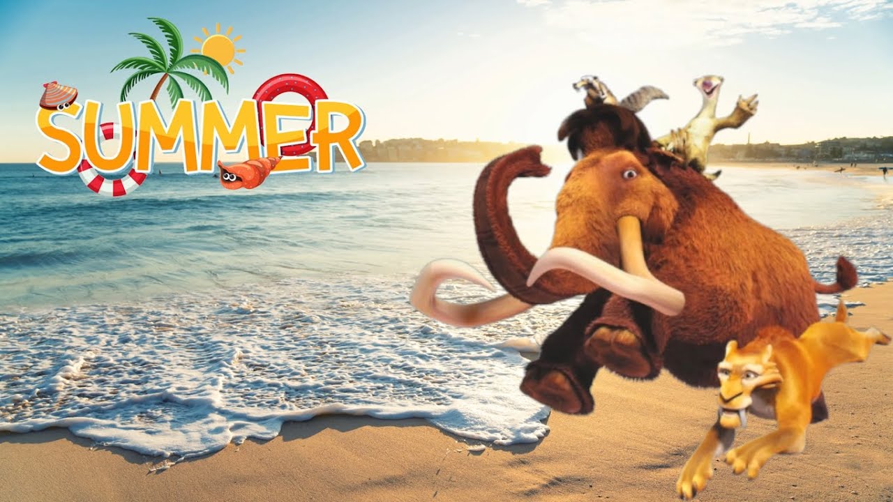 Summer 🌞 / 