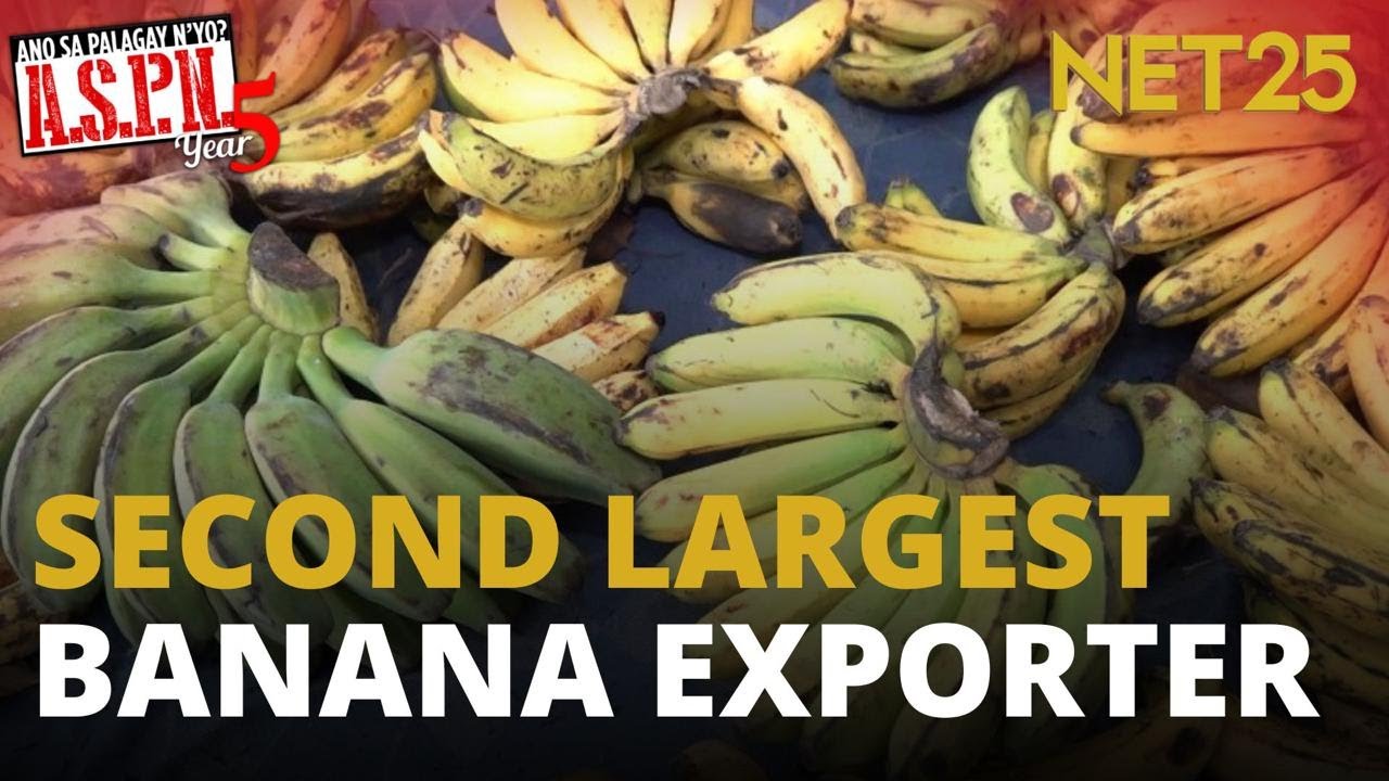 Industriya ng high-value crops, palalakasin ng DA | ASPN