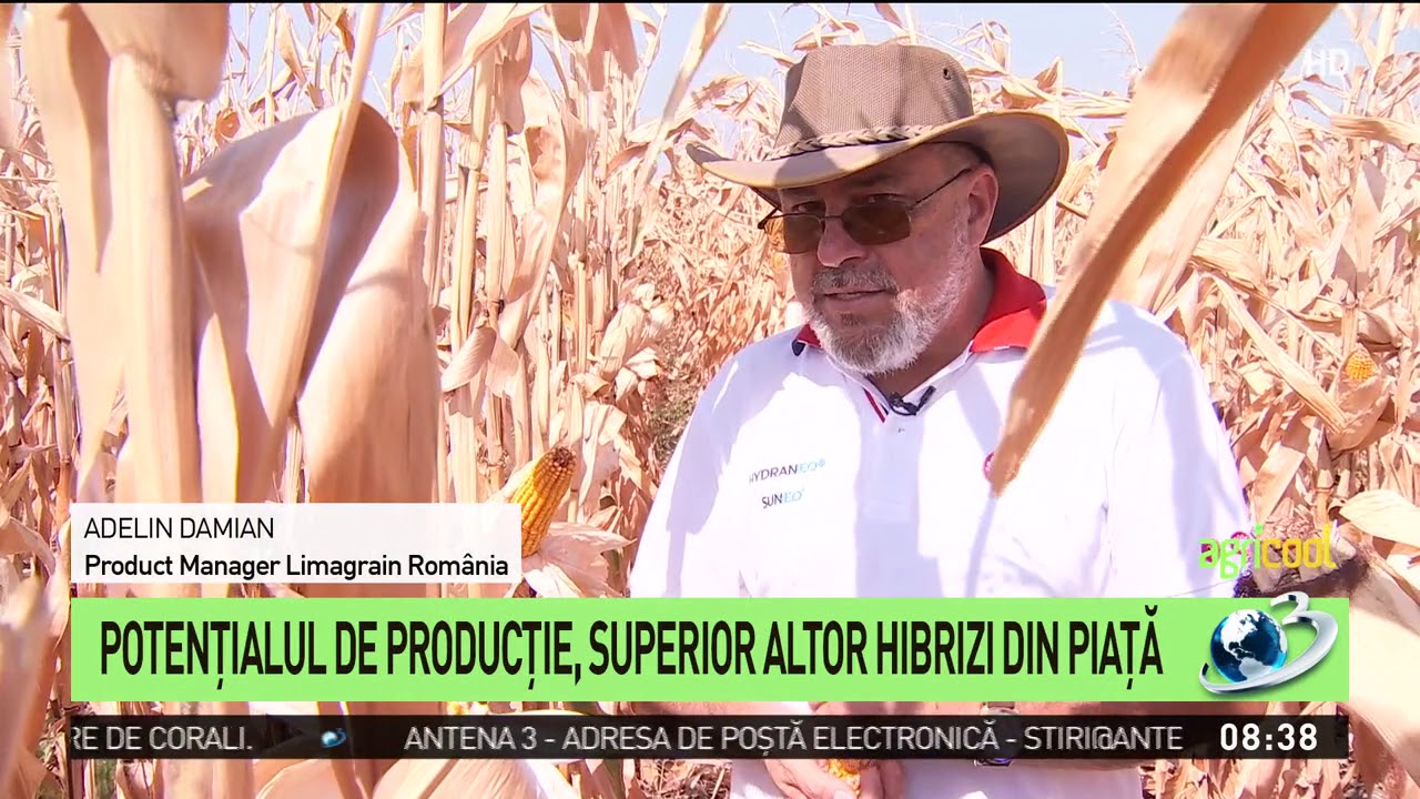 Limagrain, 4 hibrizi strategici de porumb la nivel european