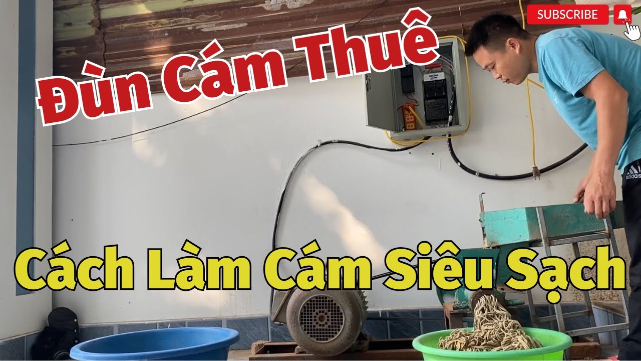Đùn Cám Thuê Và Cách Làm Cám Siêu Sạch Và Gà Rang Lá Chanh