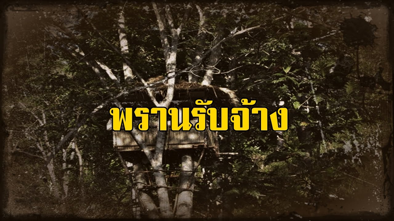 ป่าดิบดงทึบและพรานอำลาไพร บทที่ 28 พรานรับจ้าง | สองยาม
