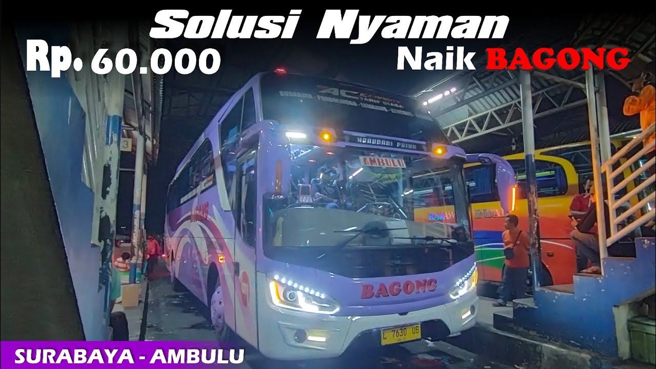 Bus Bagong Surabaya - Ambulu || Bus Tapal Kuda Anti calo dan Tanpa oper🔥