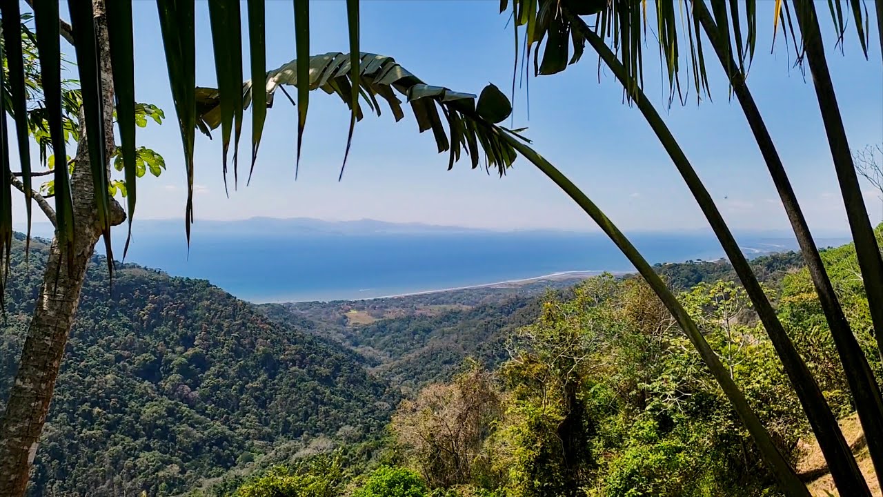 COSTA RICA: Carara-Nationalpark
