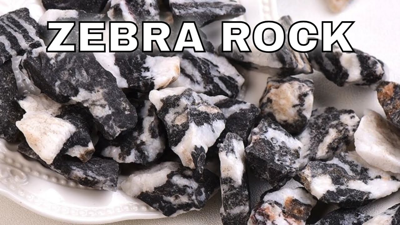 Zebra Rock Meaning Benefits and Spiritual Properties