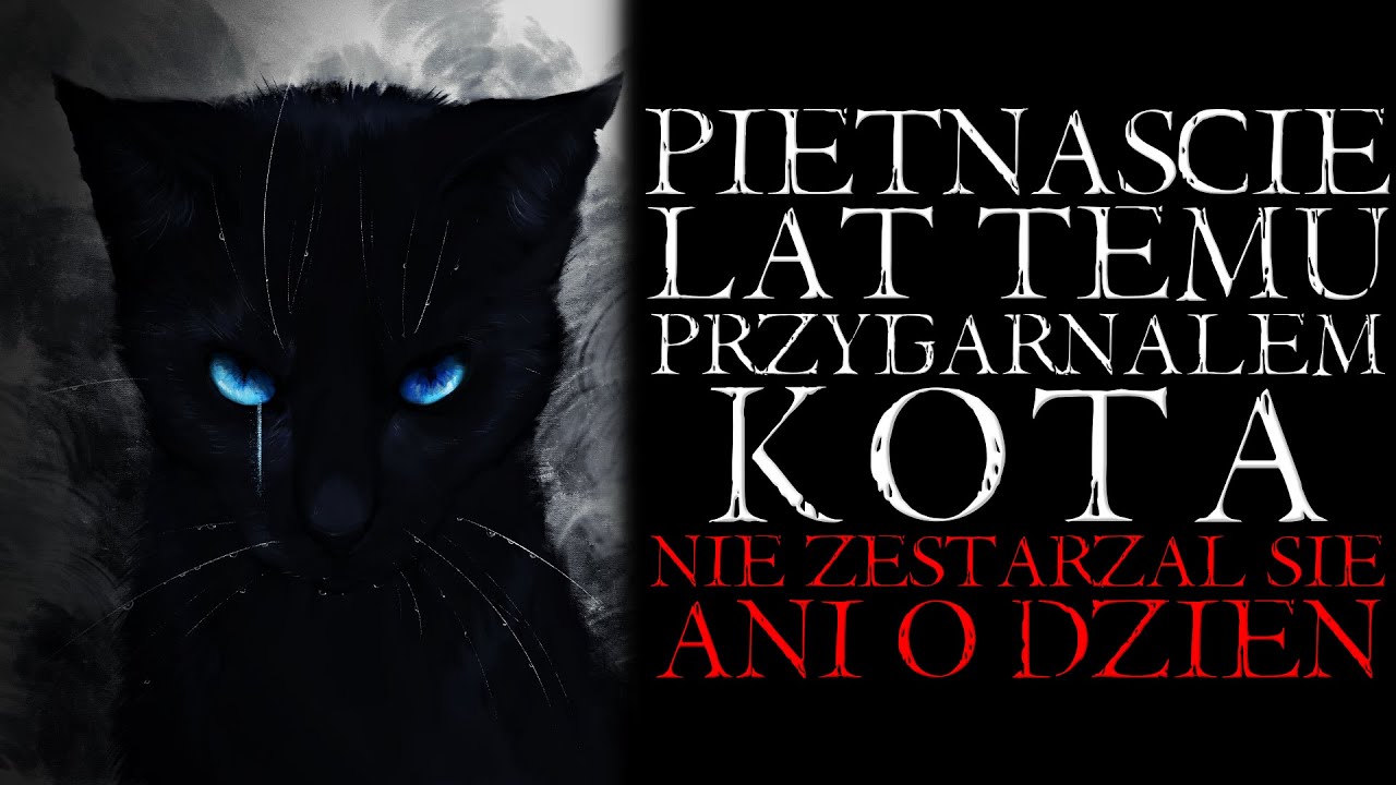 Piętnaście Lat Temu Przygarnąłem Kota. Nie Zestarzał się ani o Dzień - Reddit NoSleep [Lektor PL]