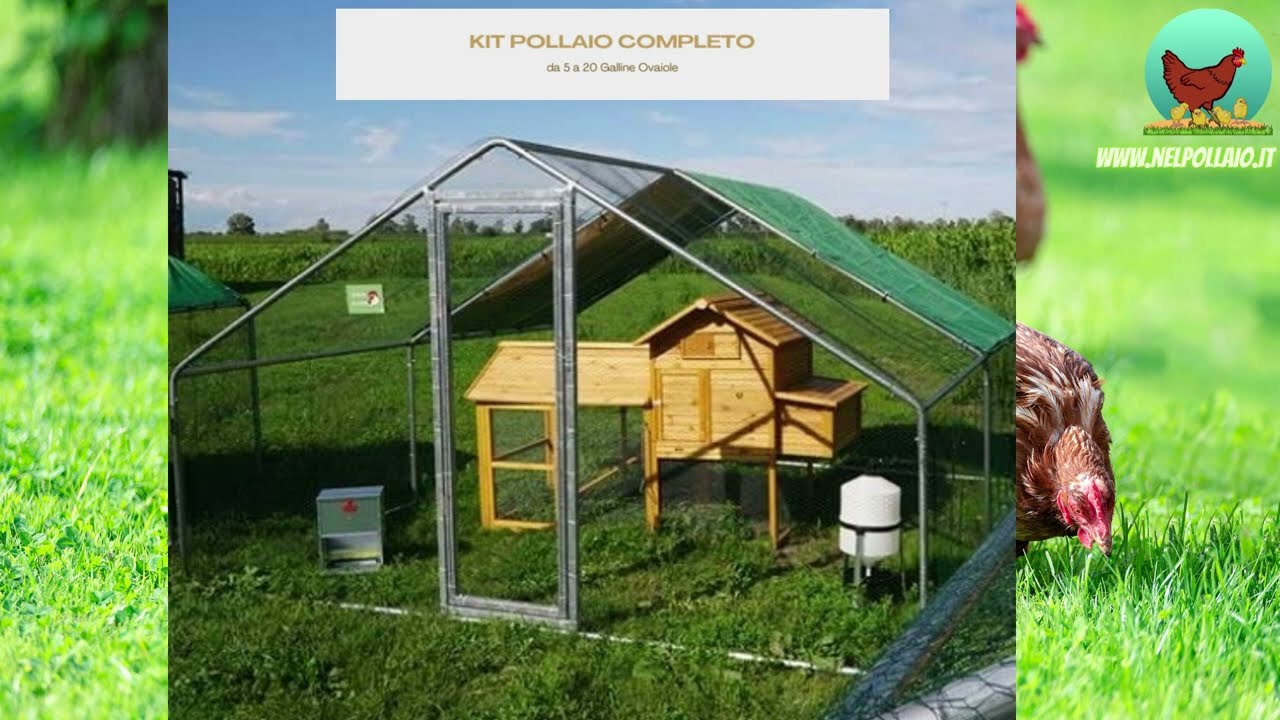Kit Pollaio Completo fino a 20 Galline - Fai da Te