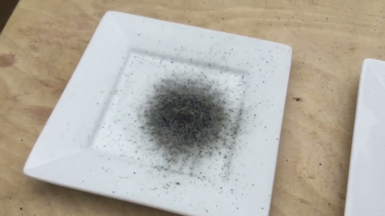 Match Powder vs. Black Powder in My Mini-Cannon
