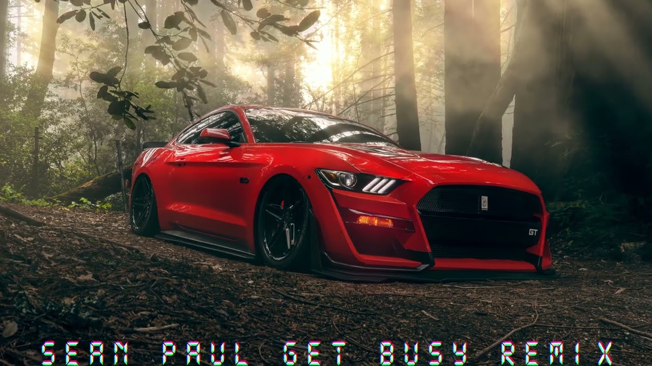 Sean Paul Get Busy Remix (TY) #remix #hit