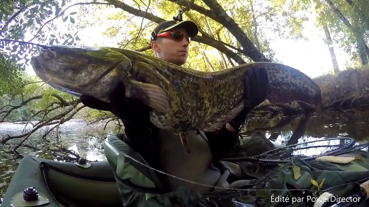 Session multicarnassier #5