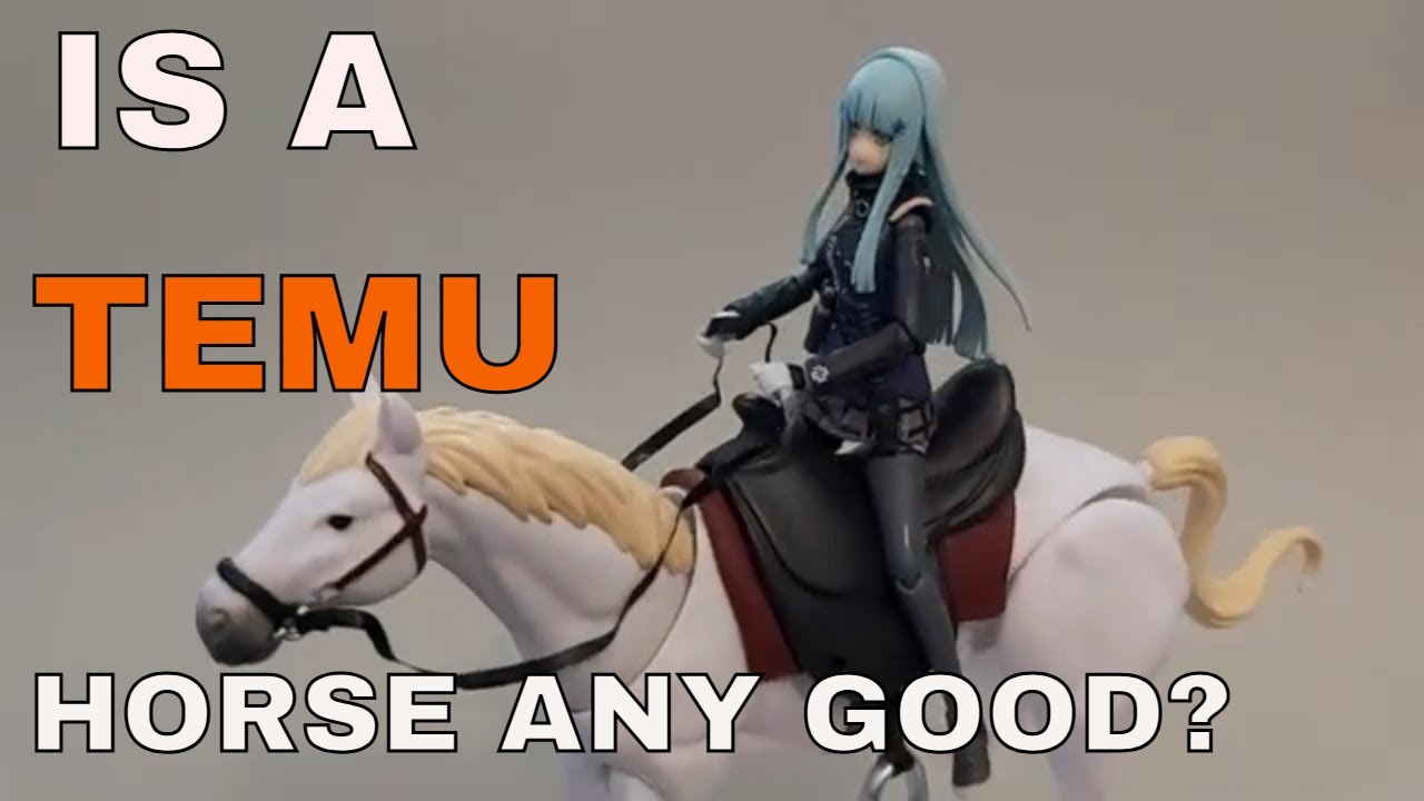Buying a Horse from TEMU!