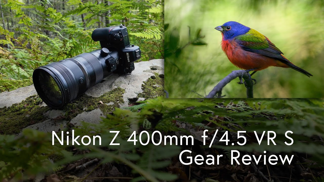 Nikon Z 400mm f/4.5 VR-S - Gear Review for Wildlife Photography