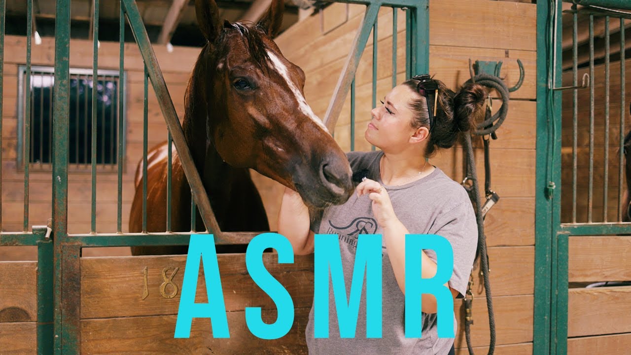 Horse Bathing ASMR!