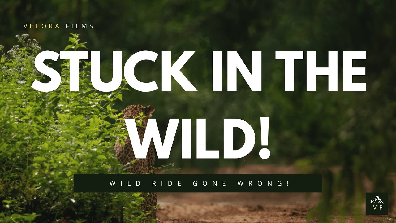 Stuck in the Jungle! | Wild Safari Adventure in Weheragala | Sri Lanka