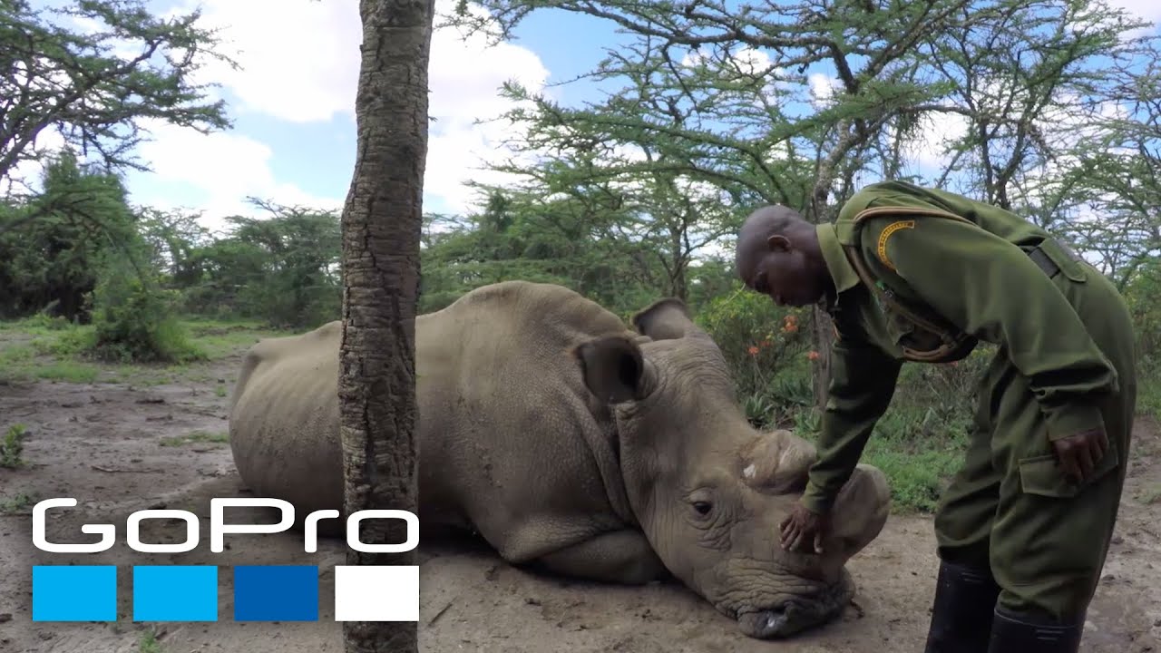 GoPro Cause: Awards Challenge | Show Us How You HERO