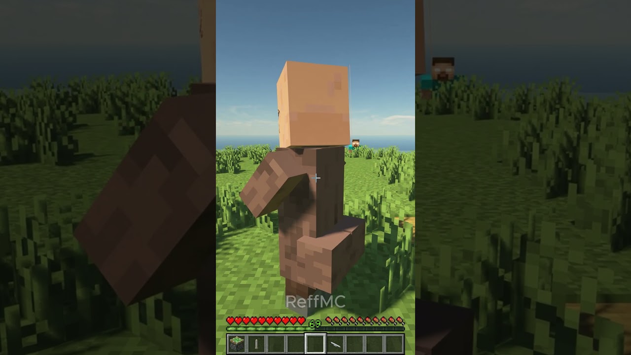 This Villager Wanted to Marry Me!