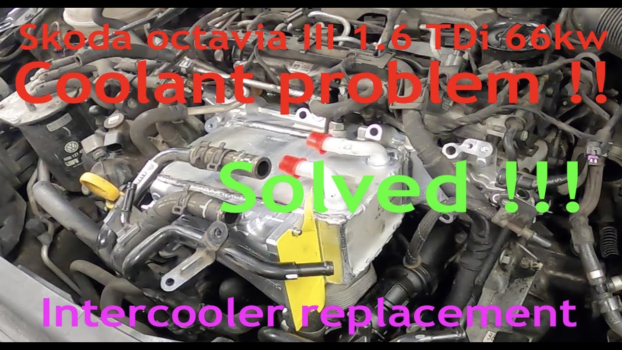 Coolant problem - Coolant leak - Coolant is lost Skoda Octavia III 1.6 TDi 66kw