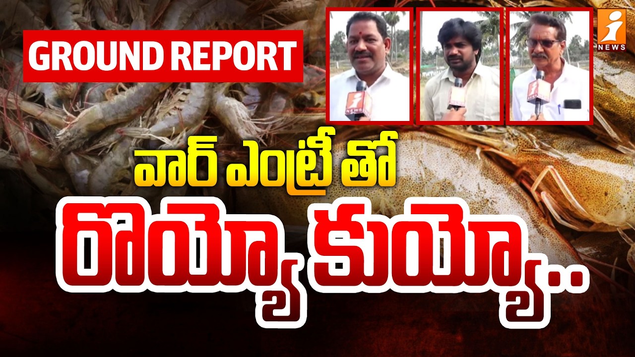 వార్ ఎంట్రీ తో రొయ్యో కుయ్యో..! | Shrimp Farmers Face Heavy Losses | Special Ground Reoprt | iNews