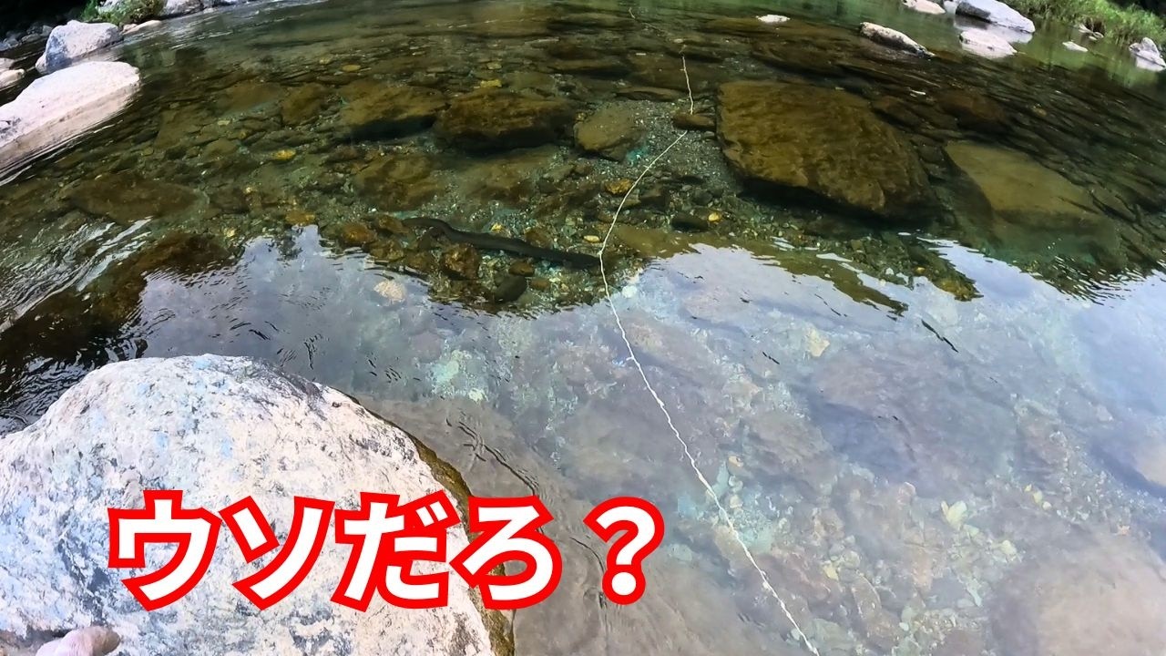 ウナギ罠シーズン最後にデカうなぎが掛かった！衝撃の展開に気分が乱高下！