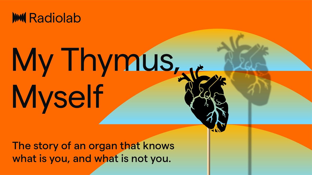 My Thymus, Myself | Radiolab Podcast