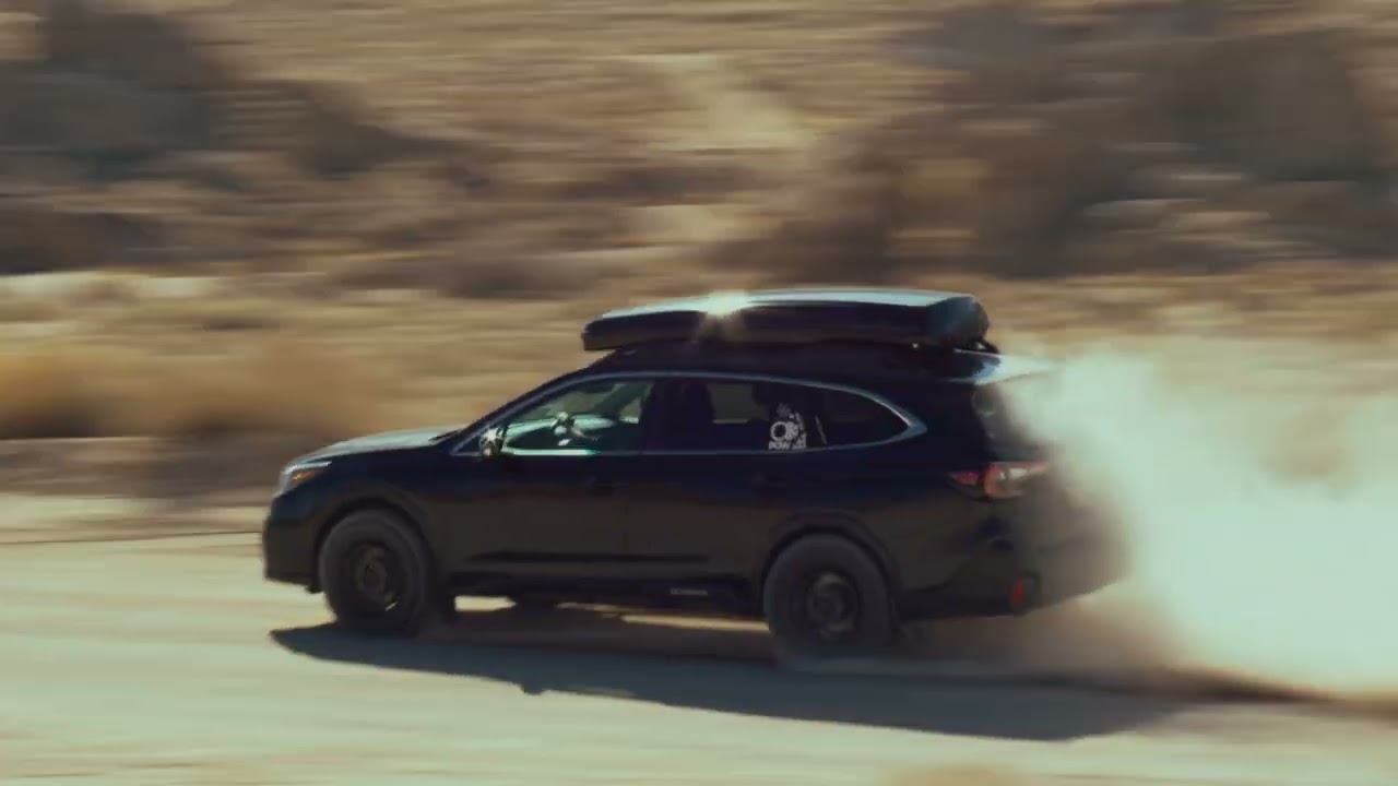 Skiguard 830 Sport Ski & Cargo Box - Adventure Ready!
