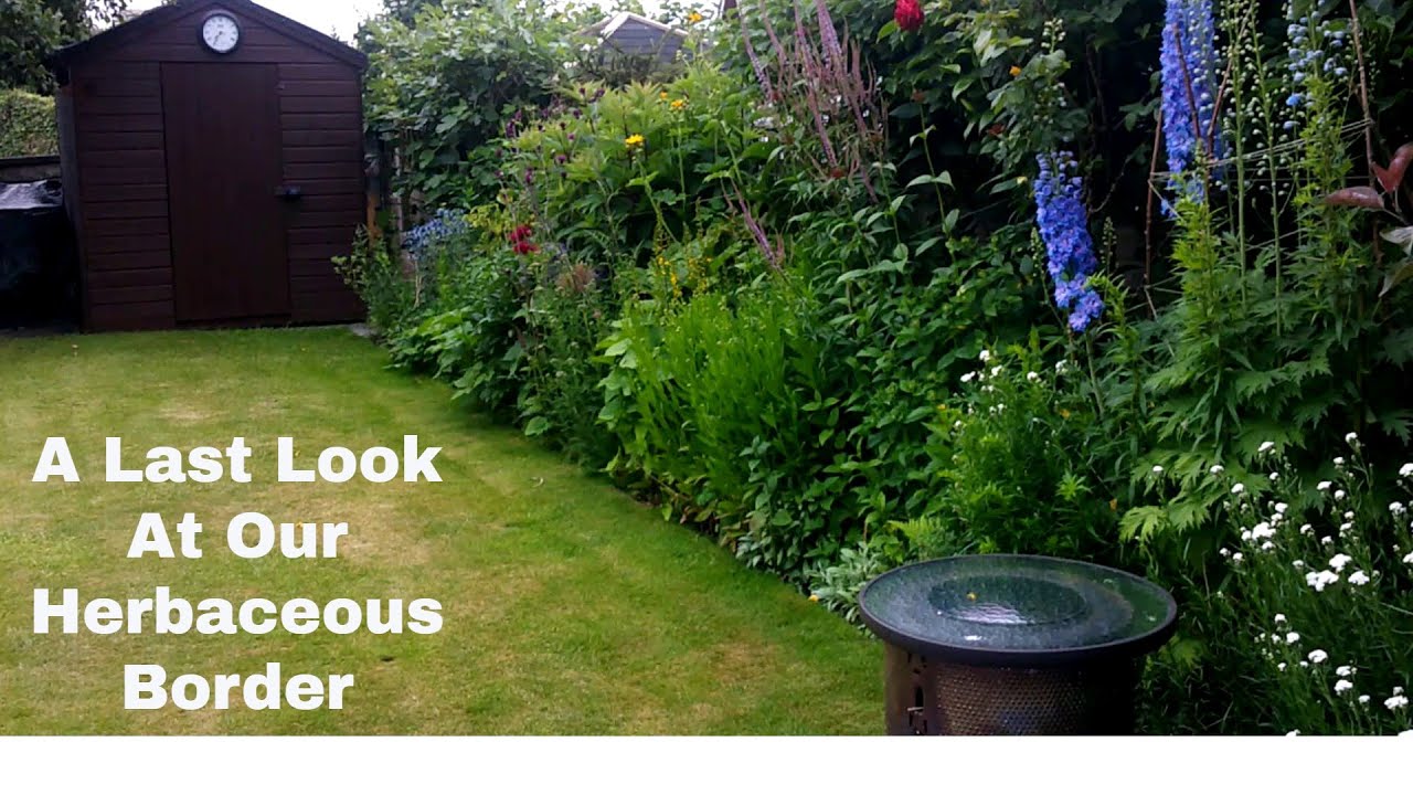 A last look at our Herbaceous Border| Herbaceous perennials for a border| Flower Gardening in the UK