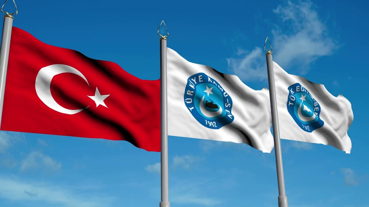 Türk Eğitim Sen