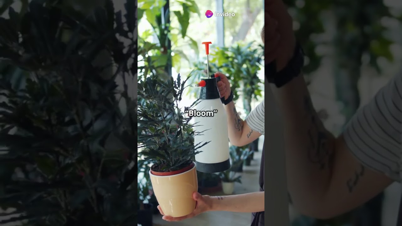 Growing Hemp/Cannabis Crash Course #cannabiseducation #cannabisterpenes #entourageeffect