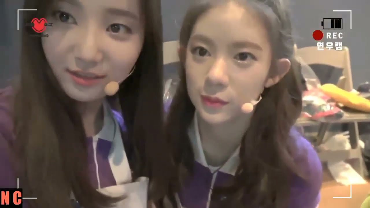 Momoland Daisy Funny Moments (Part 2)