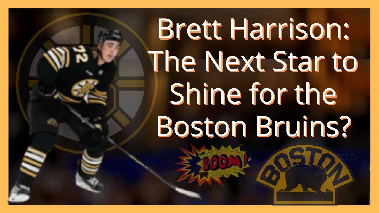 Brett Harrison: The Next Star to Shine for the Boston Bruins?