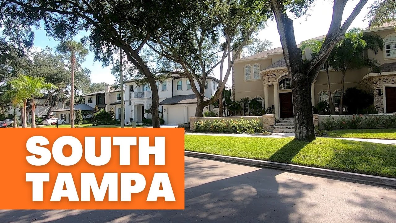South Tampa 🌴 One of Tampa's Most Popular Areas | MELANIE ❤️ TAMPA BAY