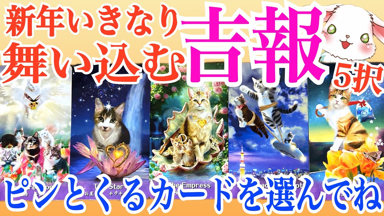 【新年から意外過ぎて大興奮‼️】新年からいきなり舞い込む吉報💫