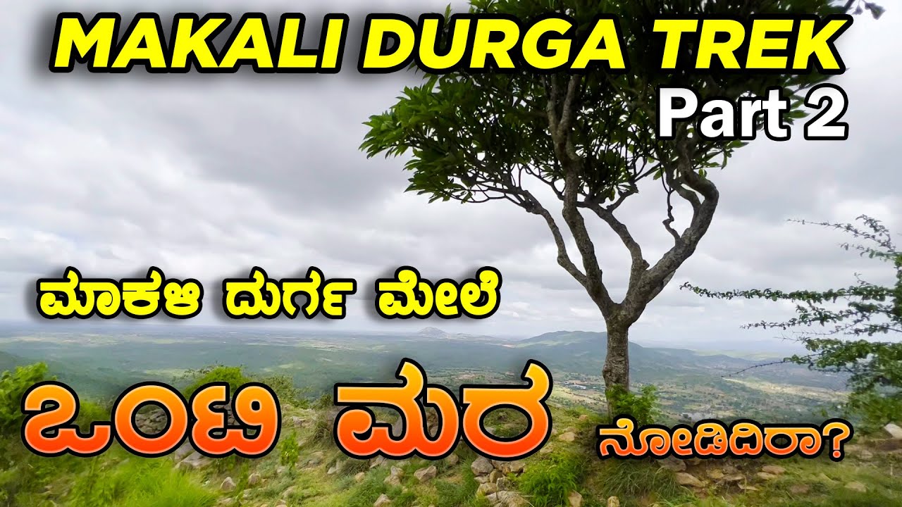 ಮಾಕಳಿದುರ್ಗ ಮೇಲೆ ಒಂಟಿ ಮರ😍Hidden place on Makalidurga| Must Do Trek Around Bangalore | Adakasabi Part2
