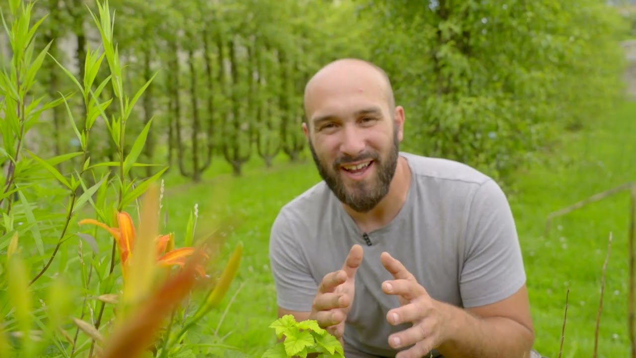 Les haies diversifiées et fruitières | Les tutos du Potager du Roi