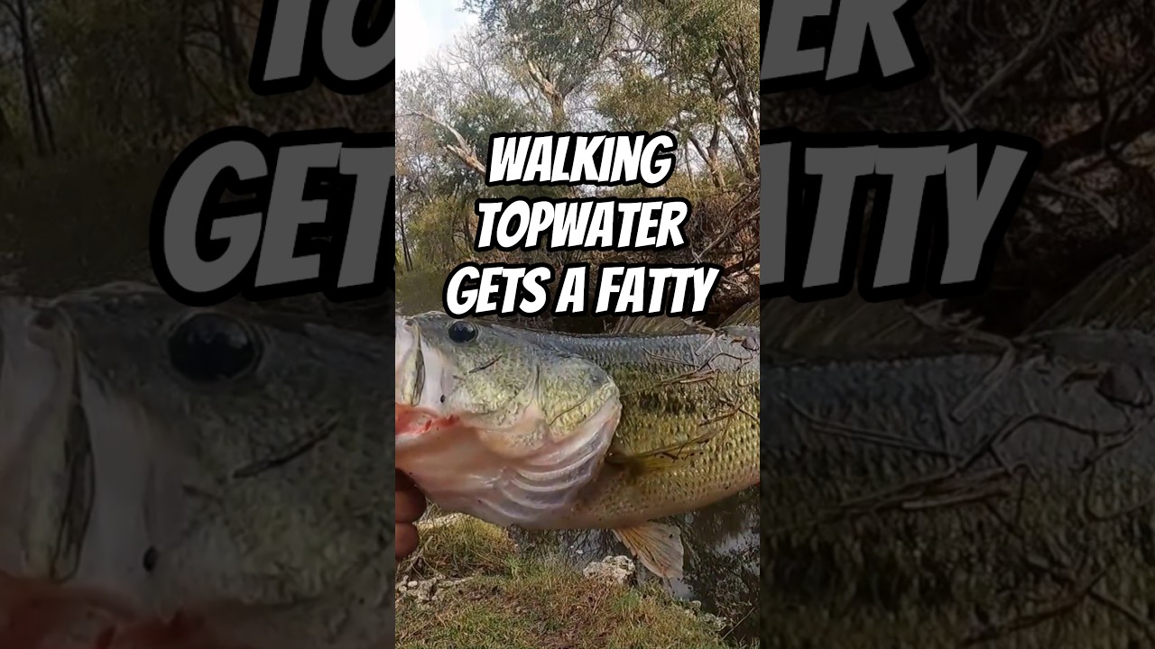 DUO REALIS PENCIL gets SMOKED! 