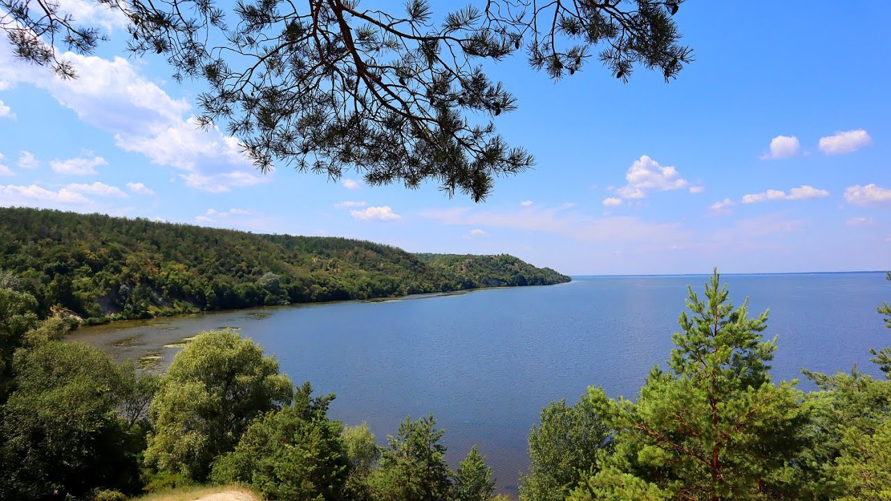 Топ-100 НЕЙМОВІРНОЇ КРАСИ В ПРИРОДІ! Рослини та комахи літнього лісу🦋🌳 Природа України