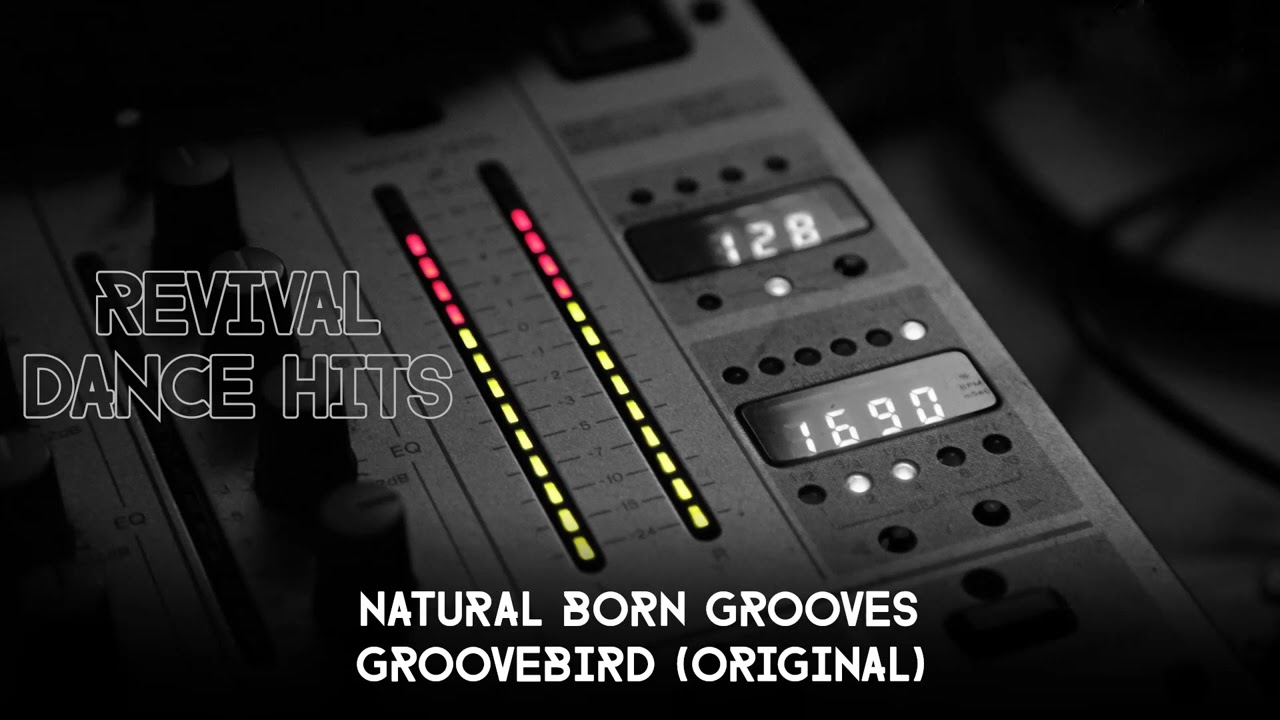 Natural Born Grooves - Groovebird (Original) [HQ]