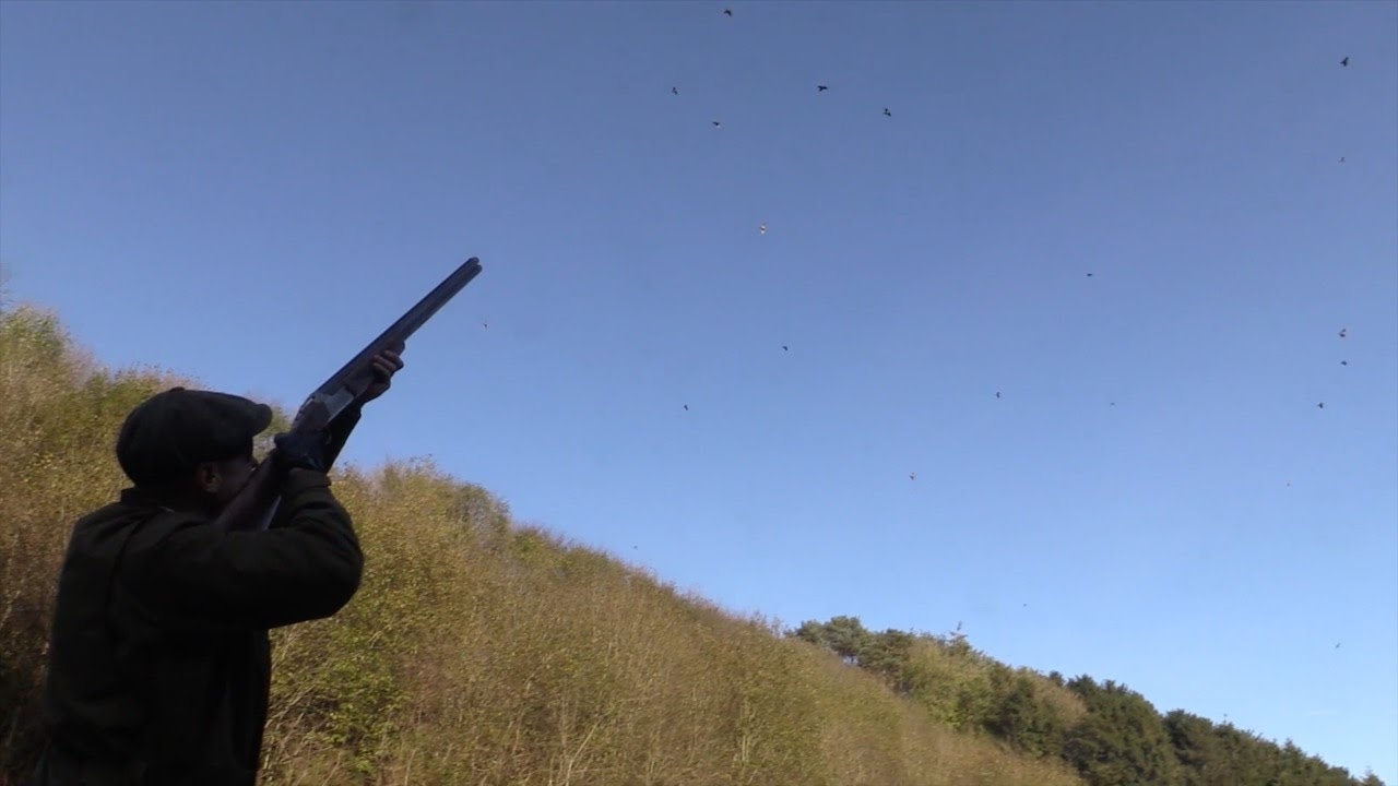 The Shooting Show - ultra high pheasant and partridge at the Rievaulx Estate