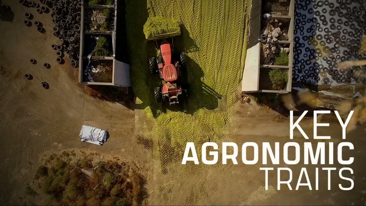 Pioneer TonnEdge