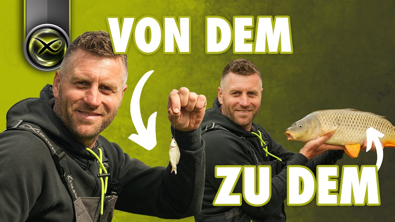 So fängst du mehr große Karpfen mit der Kopfrute