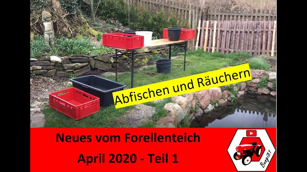 Neues vom Forellenteich - April 2020 Teil 1/2 | Abfischen und Räuchern