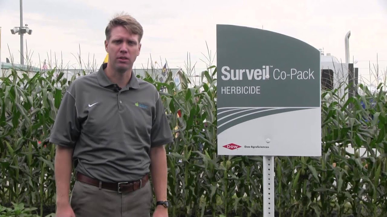 The benefits of pre-emergence herbicide on soybeans.