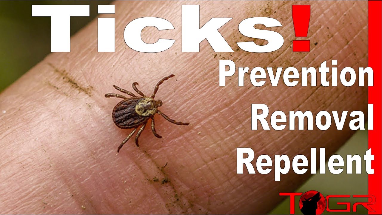 How to Prevent and Remove Ticks!
