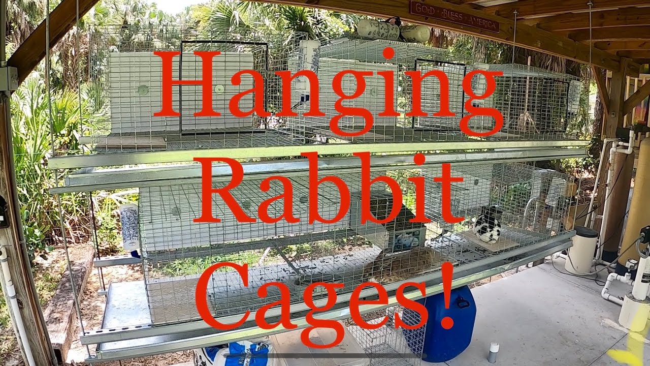 DIY - How to hang your rabbit cages and keep the predators away!  You can also collect the manure!
