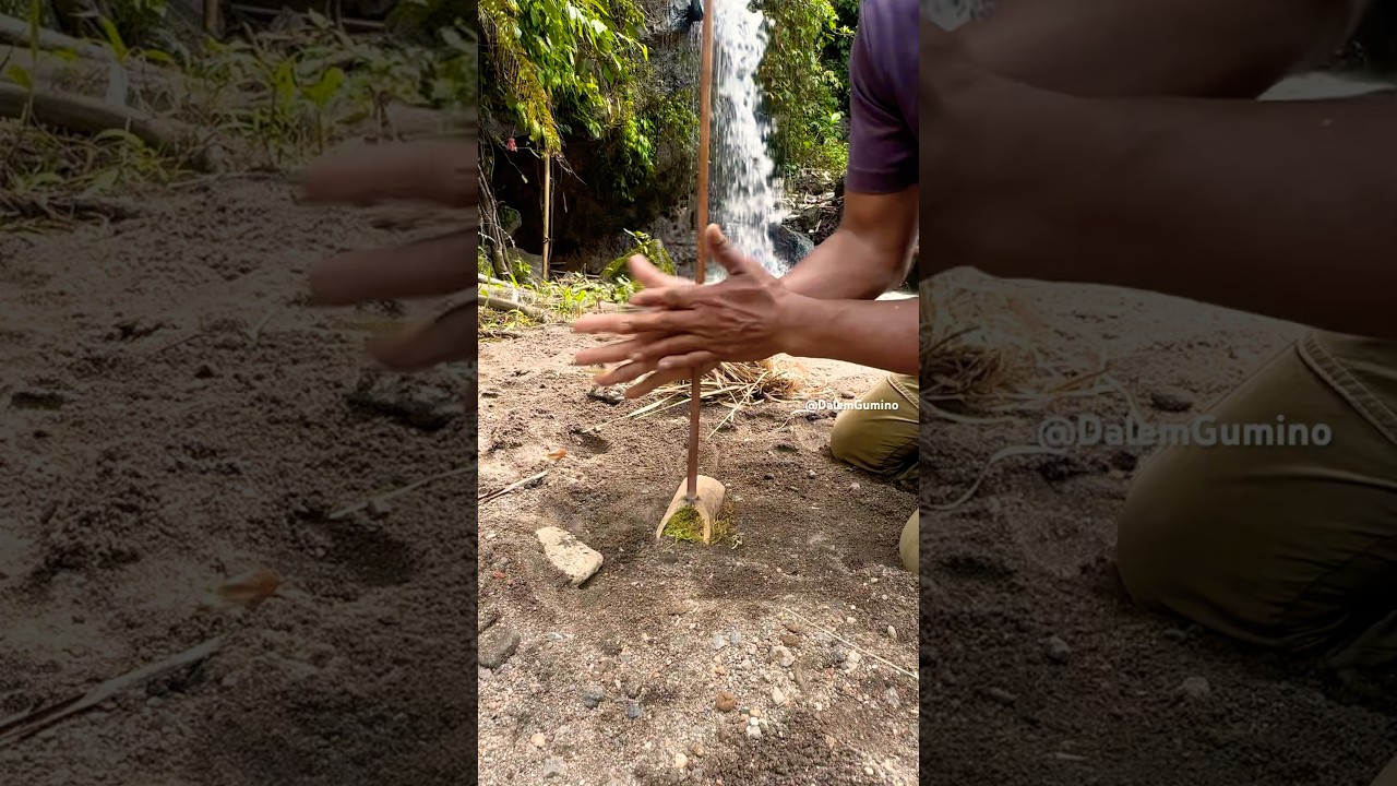 Hand drill on bamboo fire board #firemaking #creativesurvival #campfire