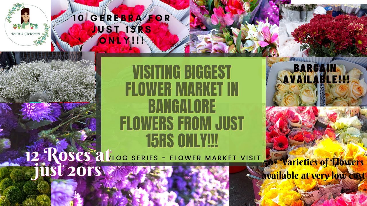 Flowers from 20rs!!!|Biggest Flower Market in Bangalore| KR Market| Offer Video| Don't miss it|Tamil